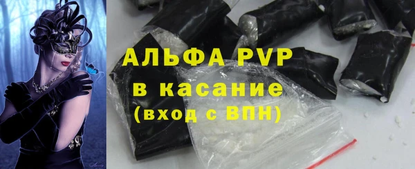 спиды Бородино