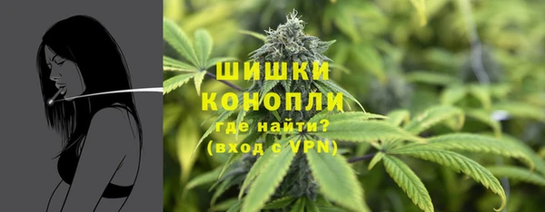 спиды Бородино