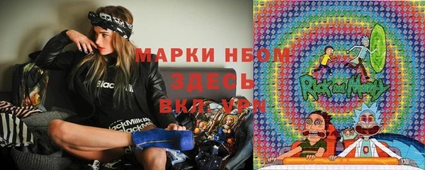 спиды Бородино
