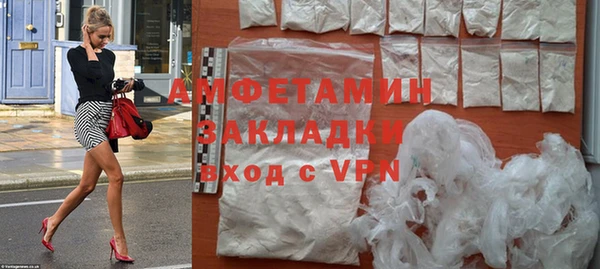 индика Богданович