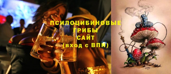 спиды Бородино